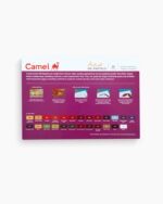 Camel Oil Pastel Colours 25 Shades - Bhandari Stationers - Best Stationery Store In Kota