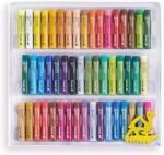 Camel Oil Pastels Colours 50 Shades - Bhandari Stationers - Best Stationery Store In Kota
