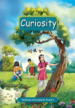 Curiosity NCERT Science Textbook For Class 6 | Latest Edition - Bhandari Stationers - Best Stationery Store In Kota