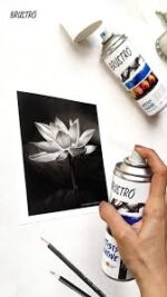 BRUSTRO Artist's Fixative Spray Can | 200ml | Transparent - Bhandari Stationers