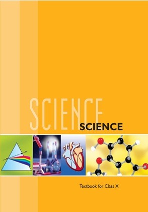 Science Textbook In For Class 10th - Bhandari Stationers